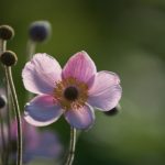 如何顺利访问龙珠体育官网入口,畅享游戏乐趣 133o0bd04q