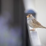 必赢官网的最新活动与优惠:如何最大化您的游戏体验 1n0glu