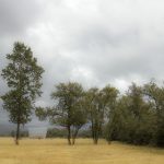 安博体育下载:畅享全球体育赛事的最佳平台 a4kg3