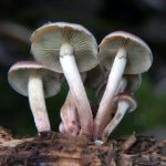 必赢亚洲平台的热门游戏推荐与玩法解析 otueb9o