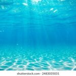 必赢国际官网地址全解析:畅享游戏乐趣的最佳途径 whs7t6