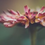 宝威体育平台的优势分析:为何成为运动爱好者的首选 wyl1bd59