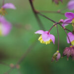 24日大乐透开奖结果揭晓,头奖花落谁家引关注 4wiw9fw