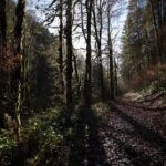 256期开奖号码前后走势深度解析 93g8v5