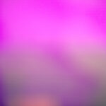 255期开奖记录完整版:最新中奖号码与走势分析 gg7mzvwtv