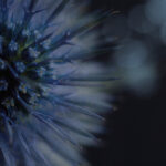 251开奖前后关键信息全面解析与汇总 t4g8k4b4cg